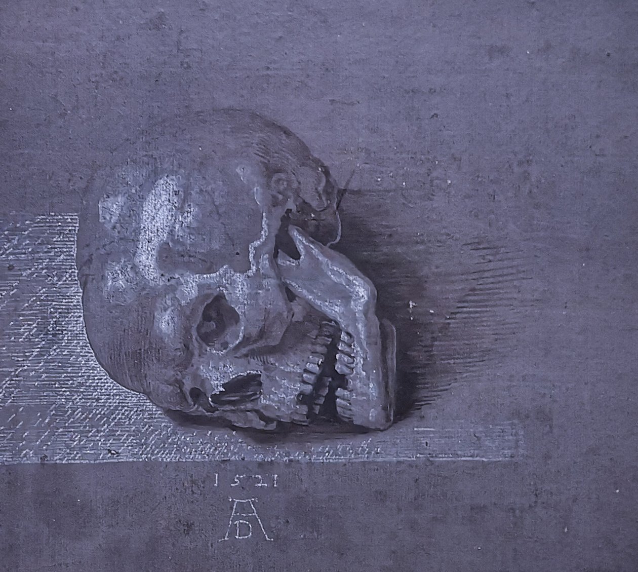Duits: Totenschädel. door Albrecht Dürer