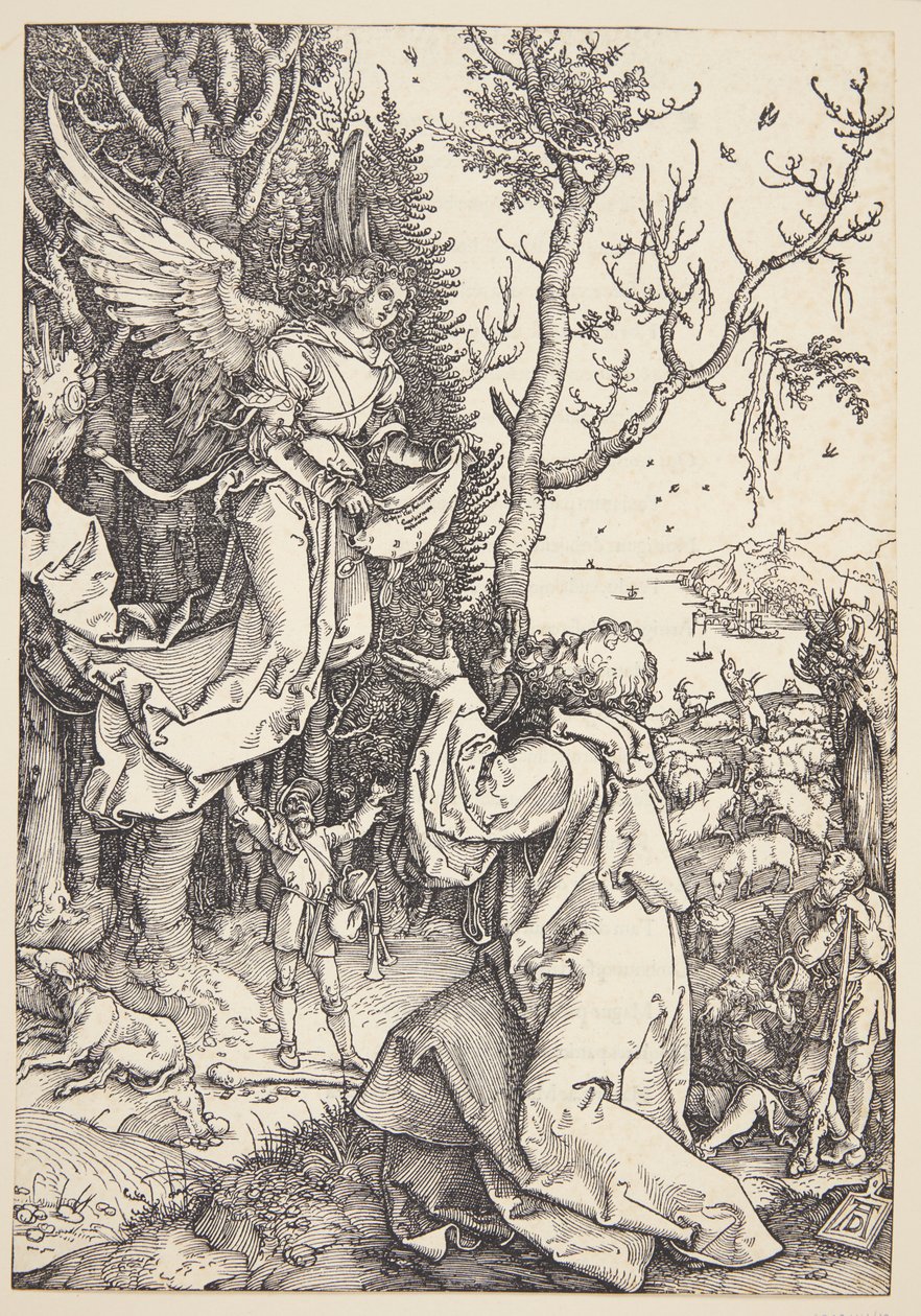 Joachim en de Engel door Albrecht Dürer