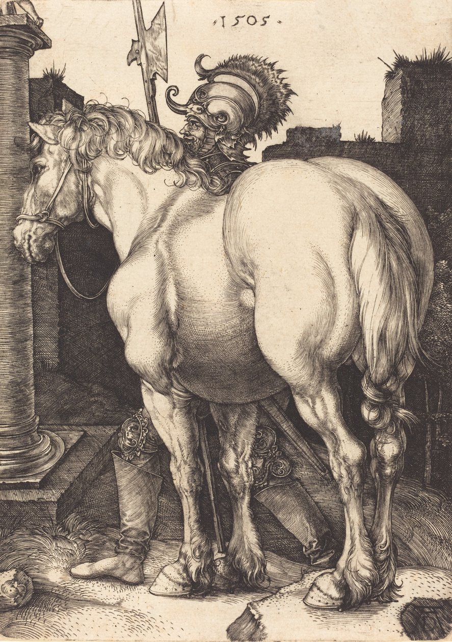 Groot paard door Albrecht Dürer