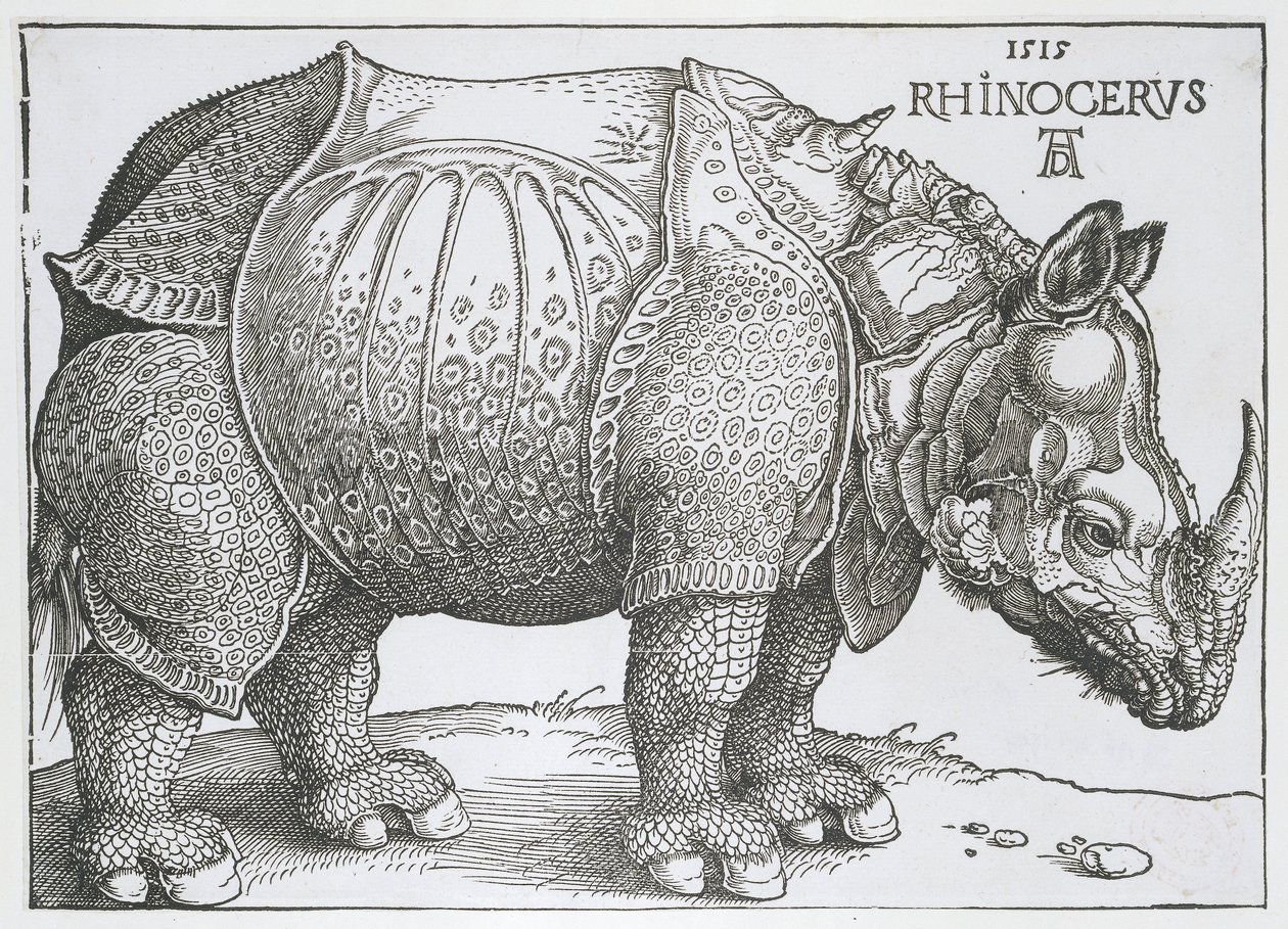 Neushoorn door Albrecht Dürer