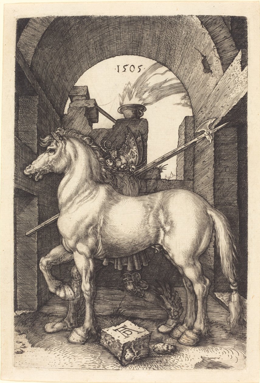 Klein paard door Albrecht Dürer