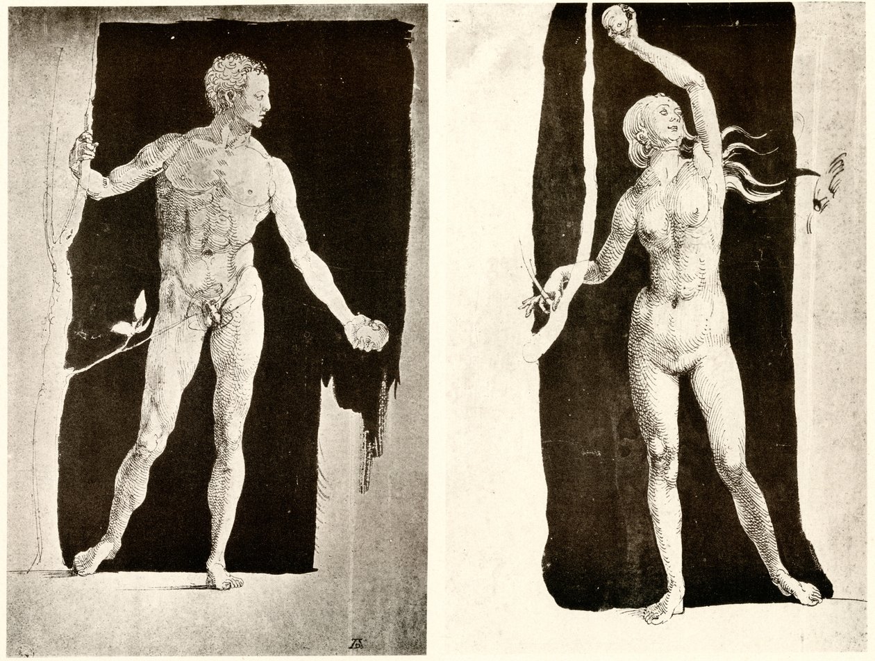 Studies van Adam en Eva door Albrecht Dürer