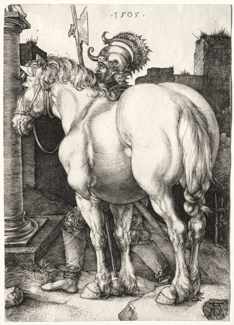 Het Grote Paard door Albrecht Dürer