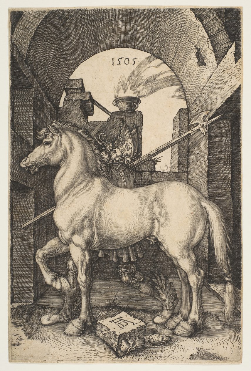 Het kleine paard door Albrecht Dürer