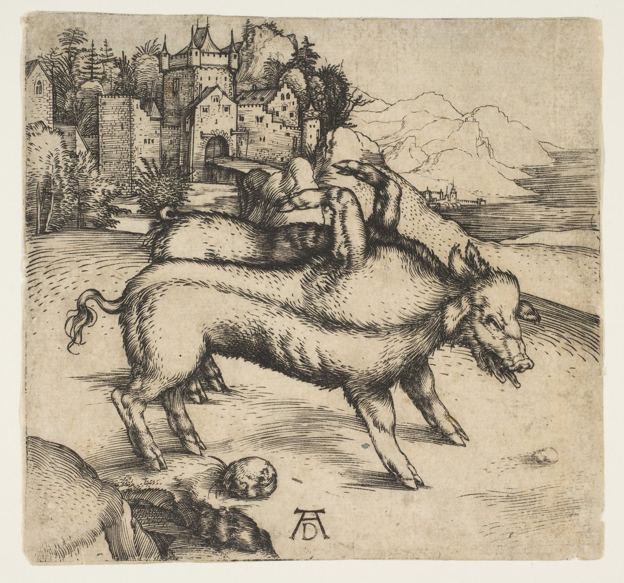 Het monsterlijke varken van Landser door Albrecht Dürer