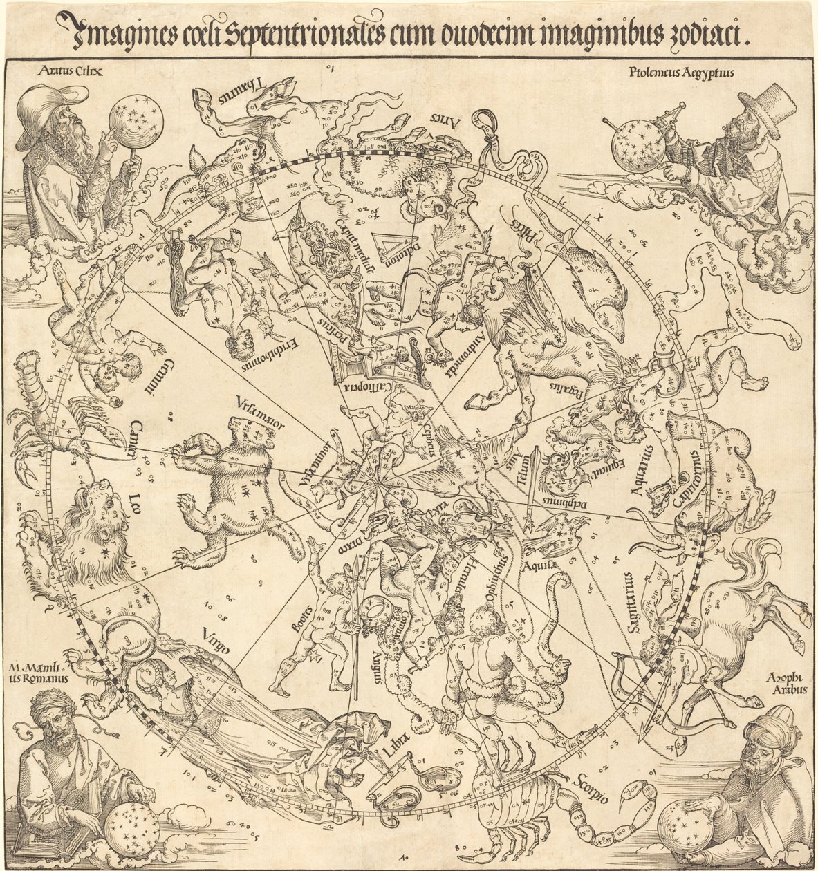 Het Noordelijke Hemelgewelf door Albrecht Dürer