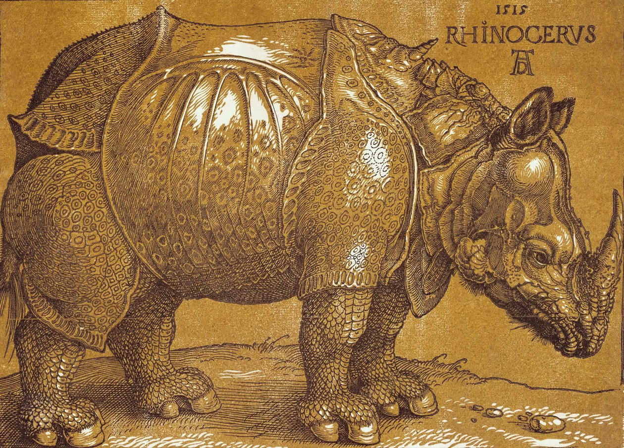 De Neushoorn, 1515 door Albrecht Dürer