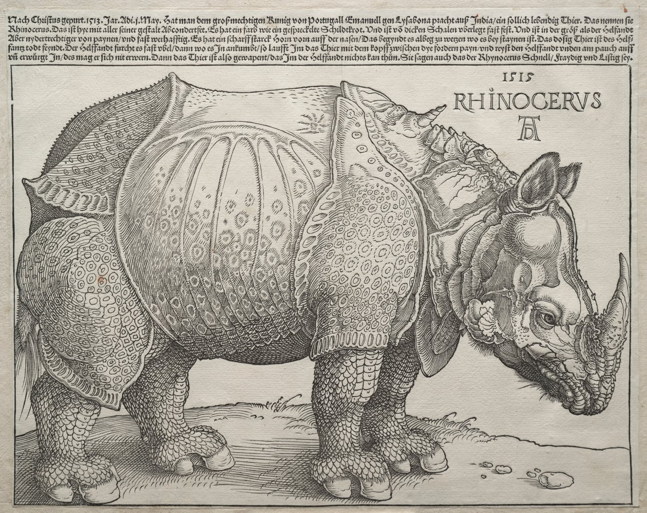 De Neushoorn, 1515 door Albrecht Dürer