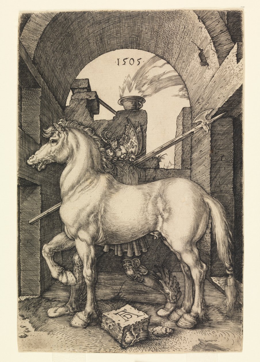 Het kleine paard door Albrecht Dürer