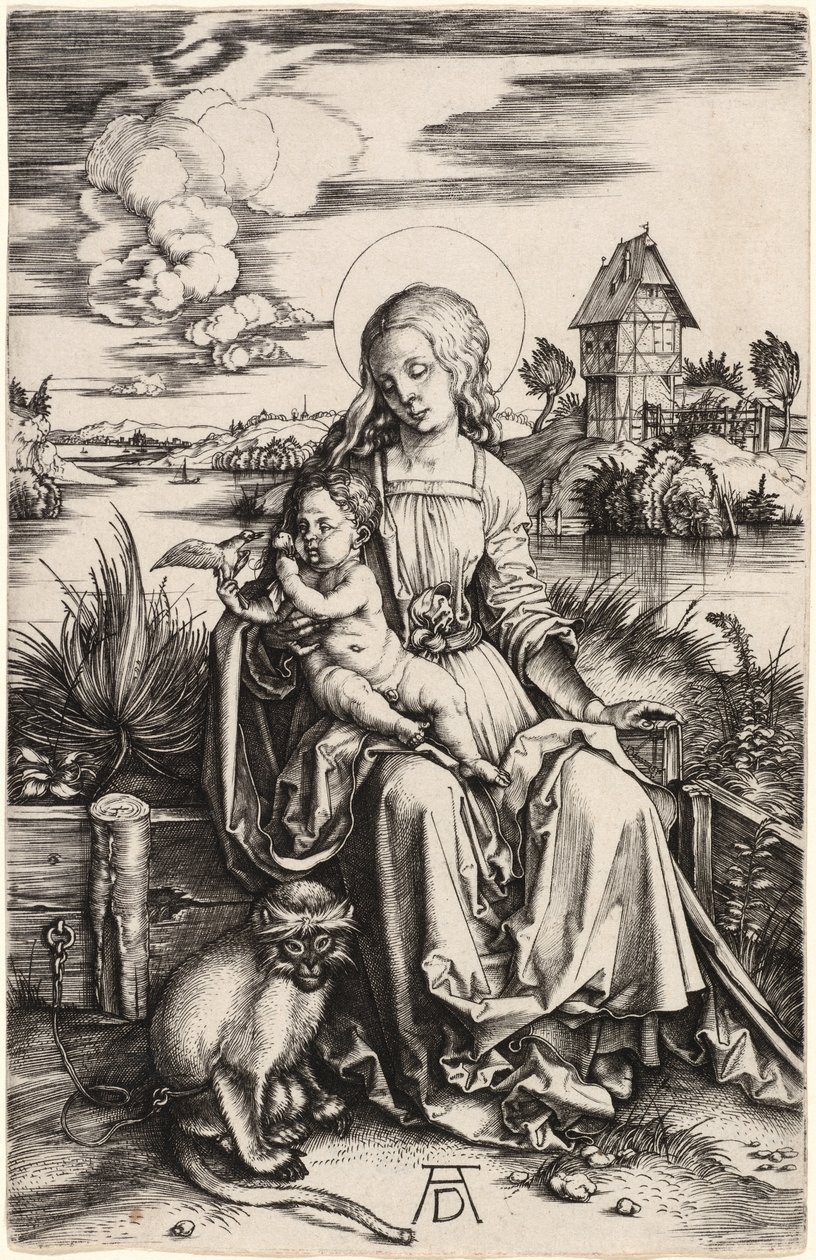 De Maagd en het Kind met de Aap door Albrecht Dürer
