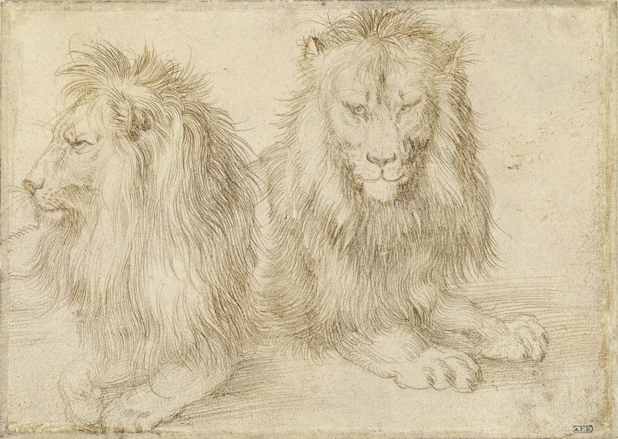 Twee zittende leeuwen, 1521 door Albrecht Dürer