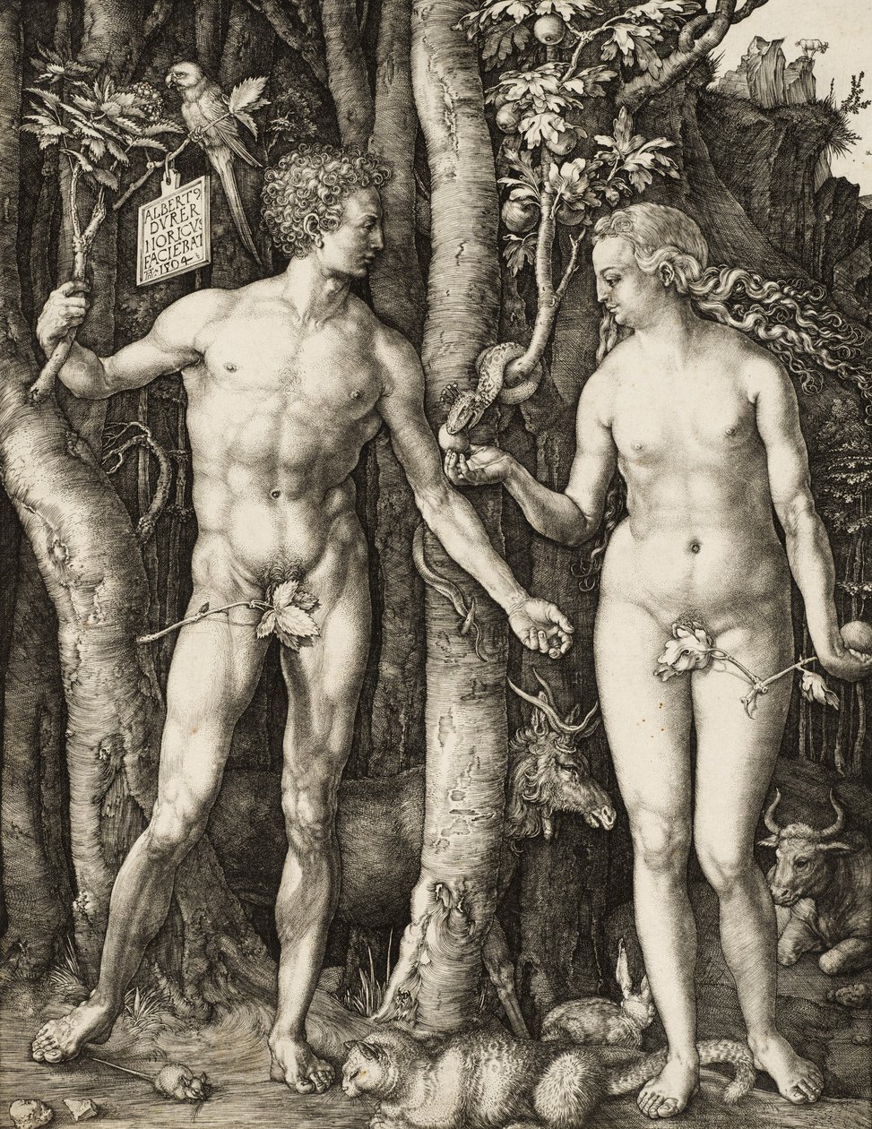 Adam en Eva door Albrecht Dürer