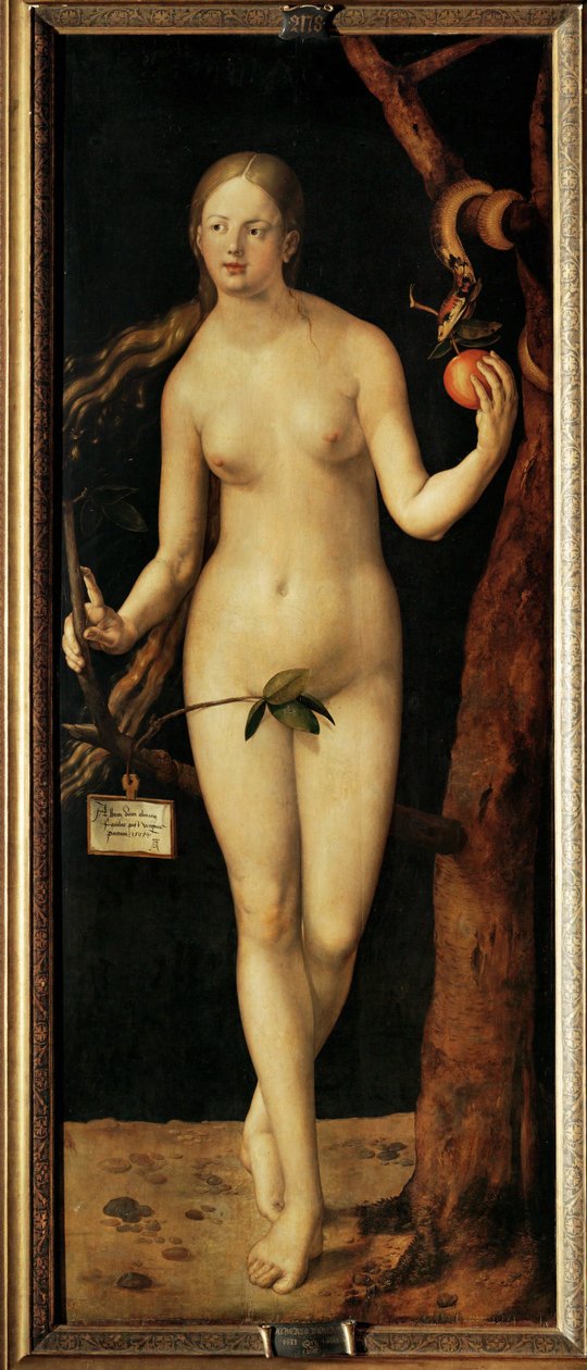 Eve door Albrecht Dürer or Duerer