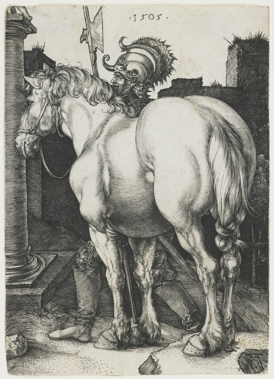 Het Grote Paard door Albrecht Dürer