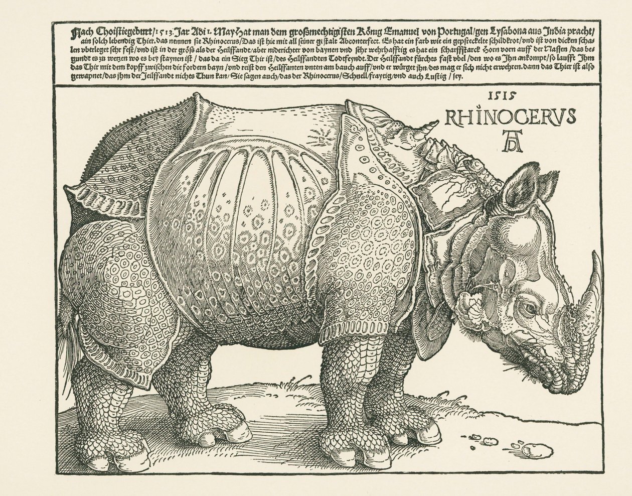 De neushoorn door Albrecht Dürer or Duerer