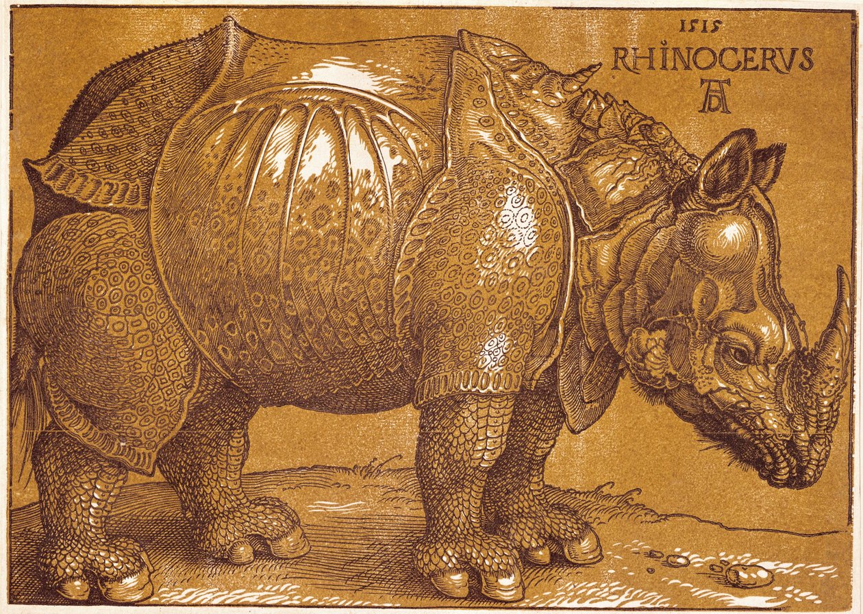 De neushoorn door Albrecht Dürer or Duerer