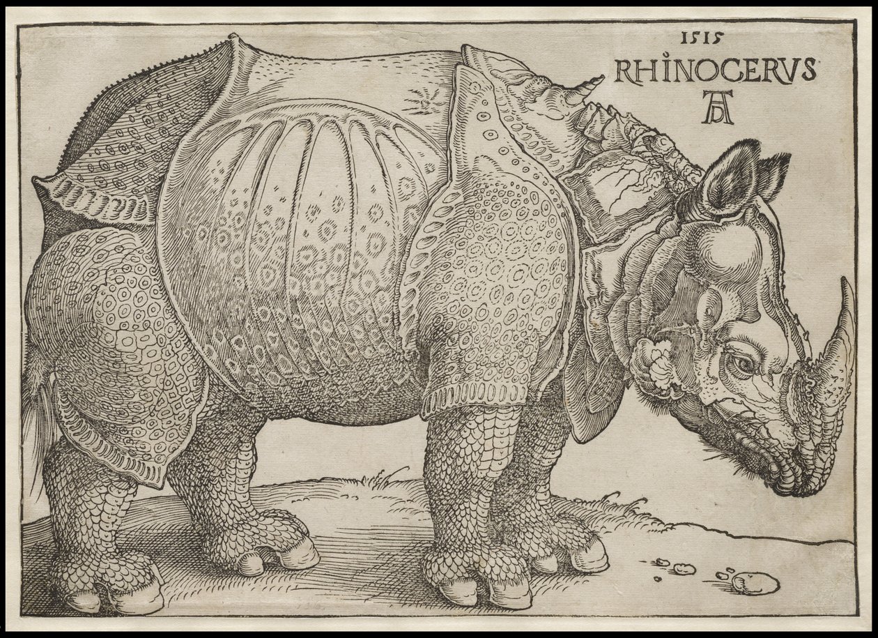 De Neushoorn, 1515 door Albrecht Dürer
