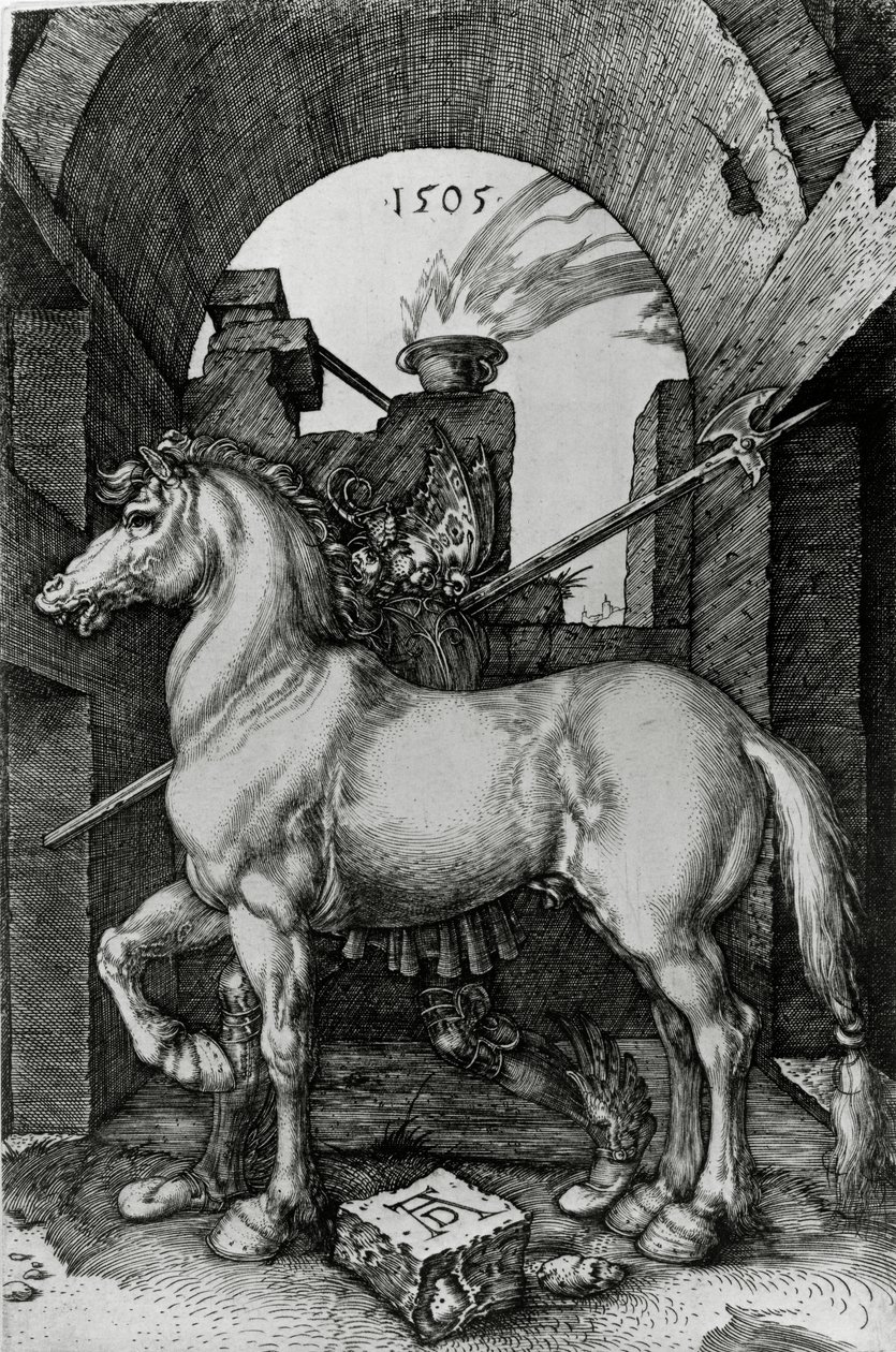 Het kleine paard door Albrecht Dürer