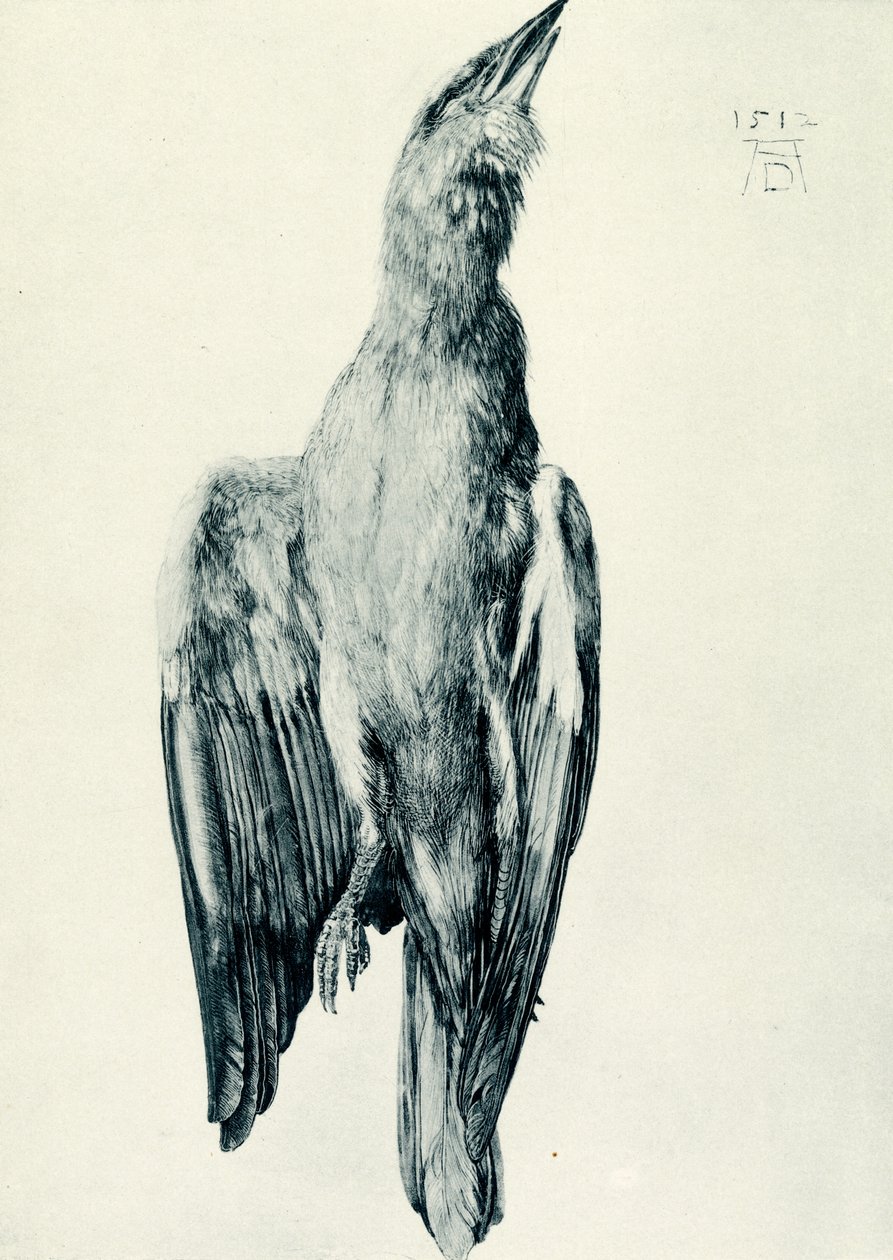 De dode blauwe roller door Albrecht Dürer