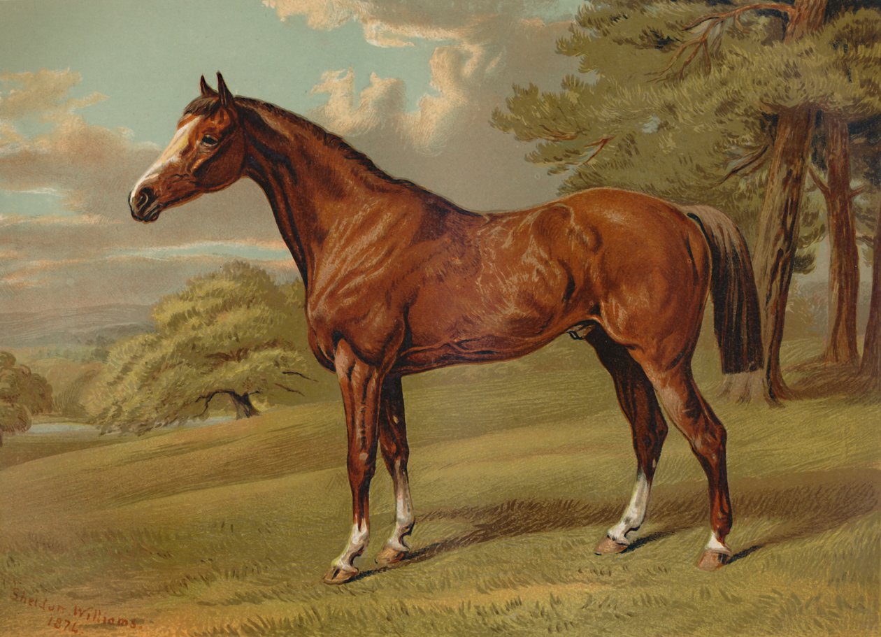Stilton een Jager, ca. 1879 door Aldfred Sheldon Williams