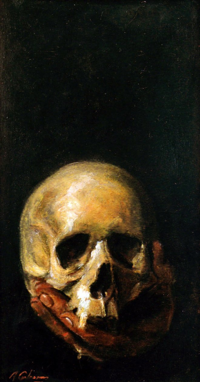 De Schedel door Alejandro Cabeza