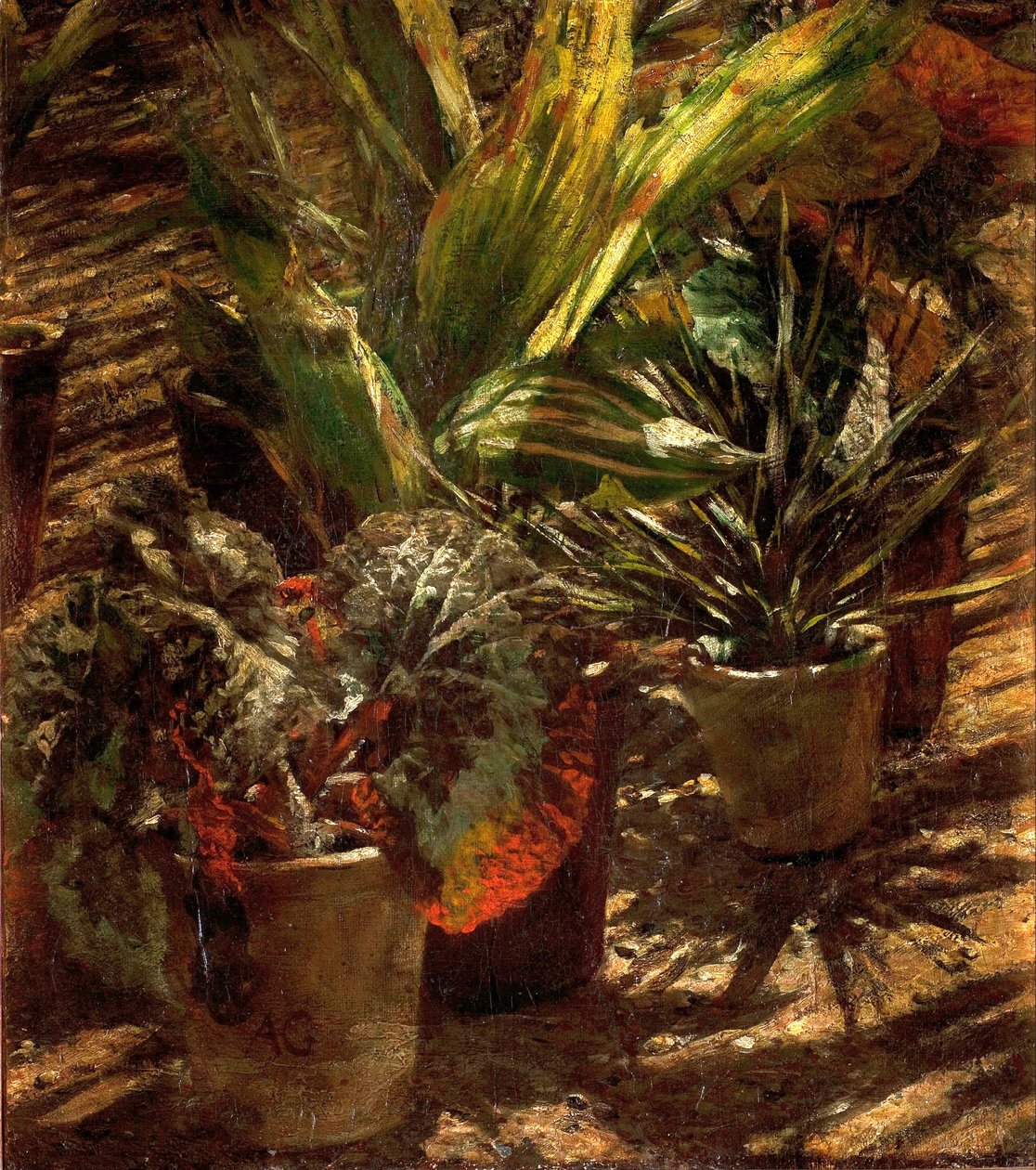 Begonia door Aleksander Gierymski