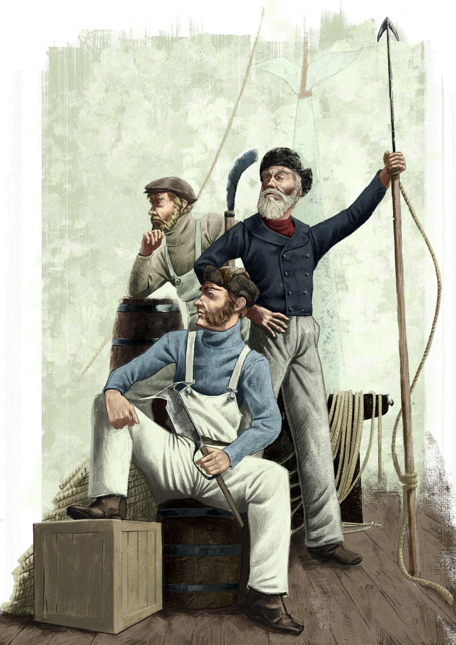 Drie walvissen door Alessandro Lonati