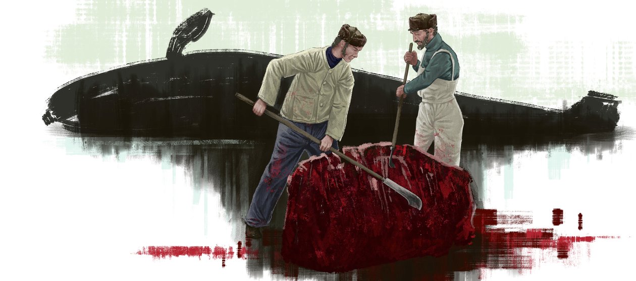Twee walvissen, snijden van een walvis door Alessandro Lonati