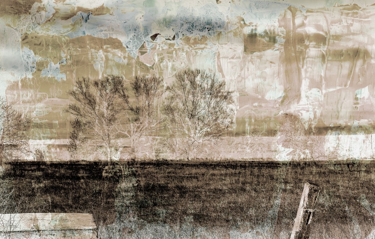 Bruine mist, 2019 door Alex Caminker