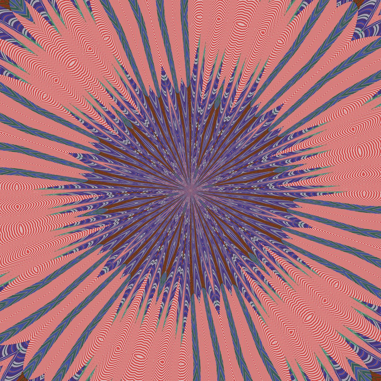 symmetrie #34 door Alex Caminker