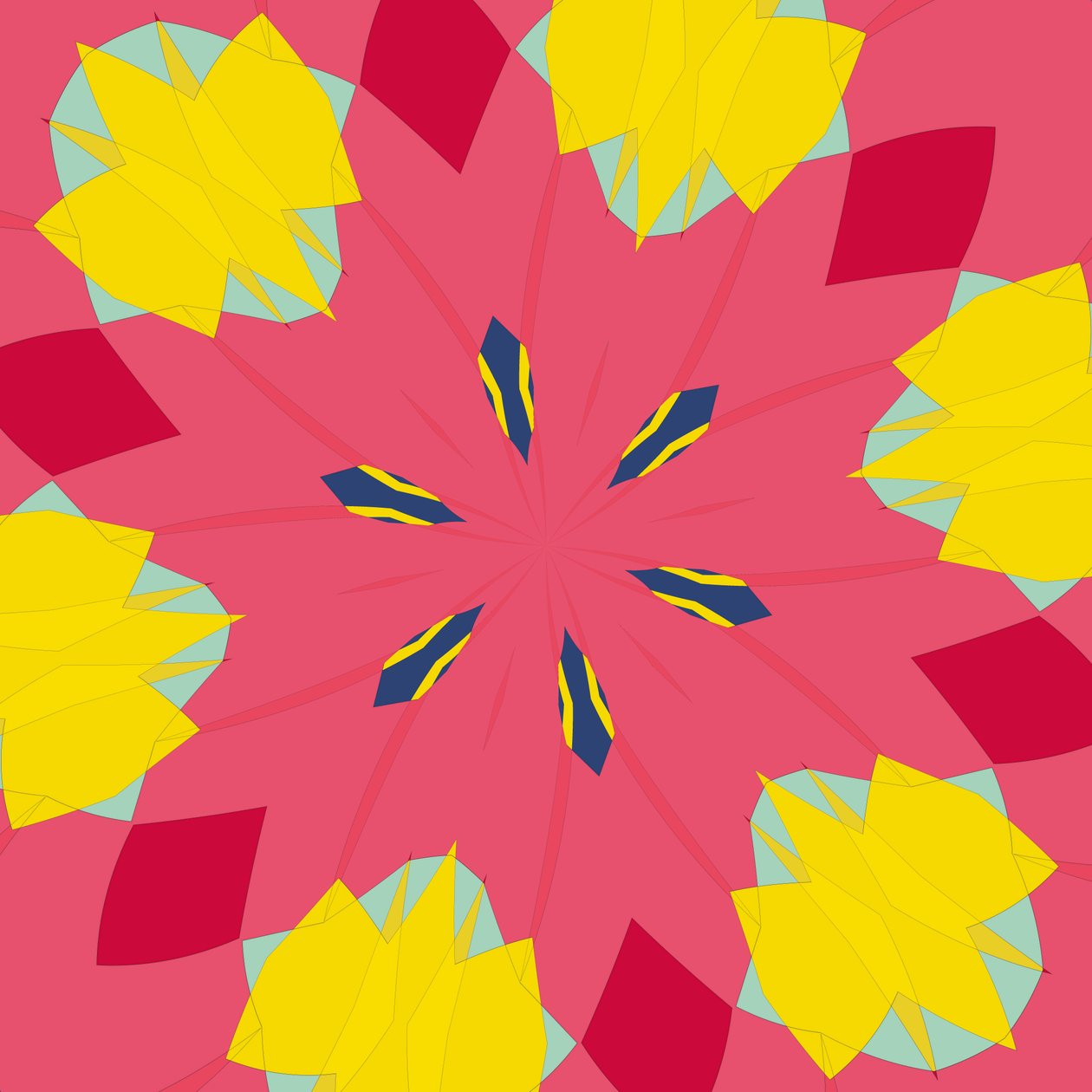 symmetrie #44 door Alex Caminker