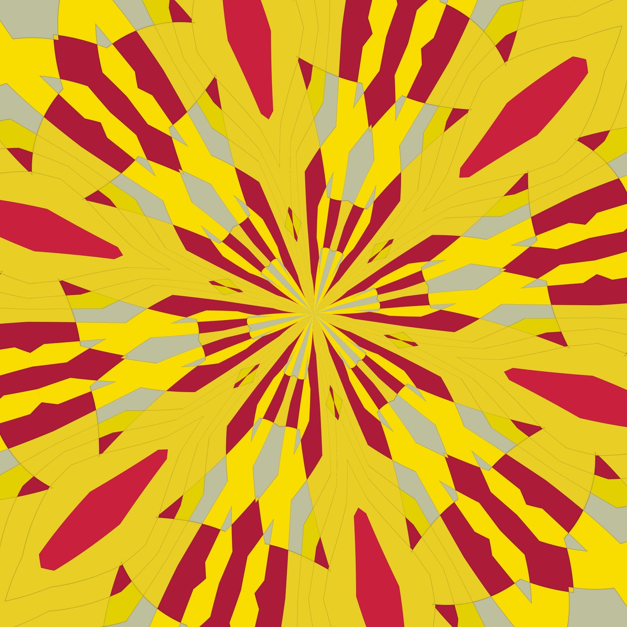 symmetrie #47 door Alex Caminker