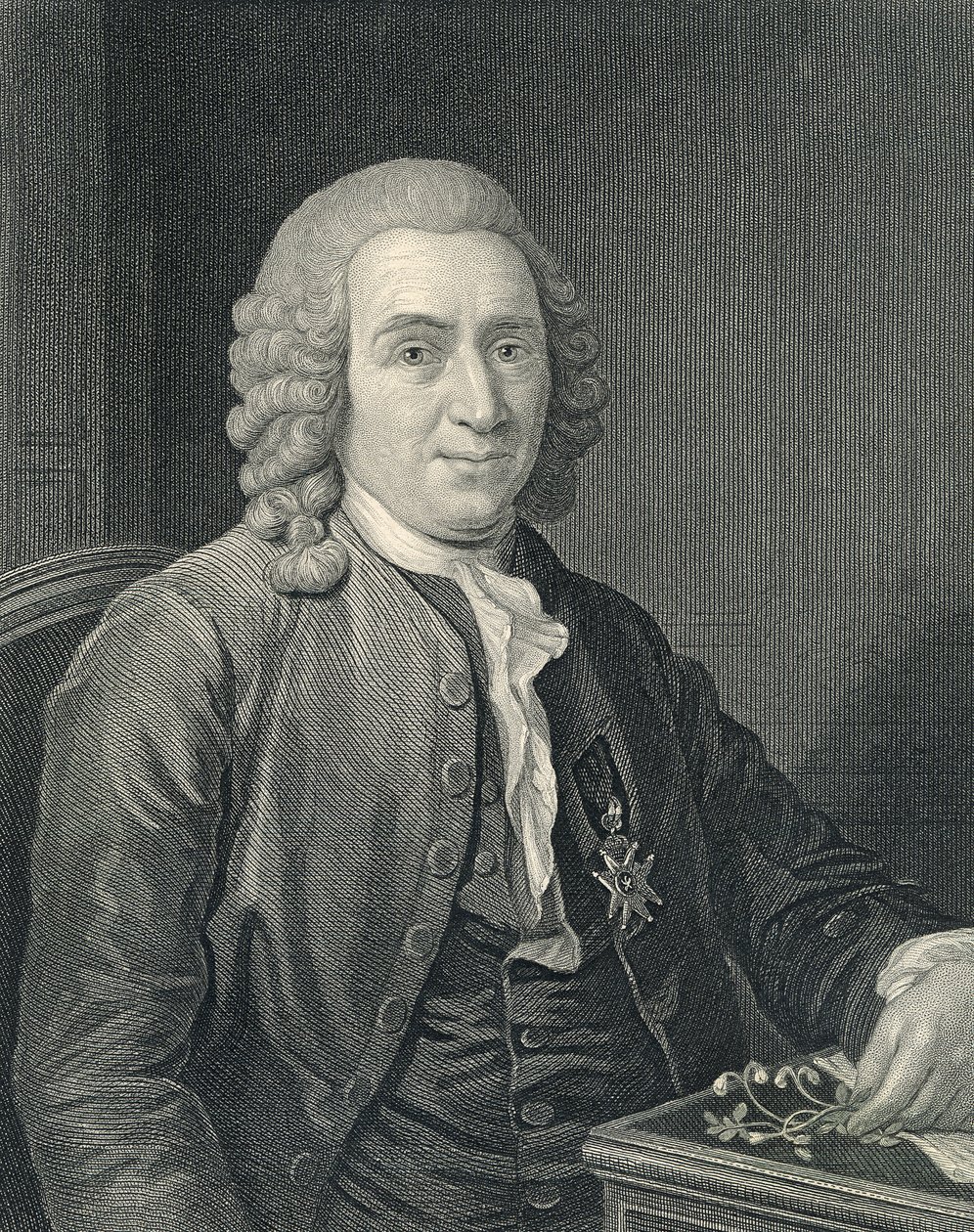 Portret van Carolus Linnaeus door Alexander (after) Roslin