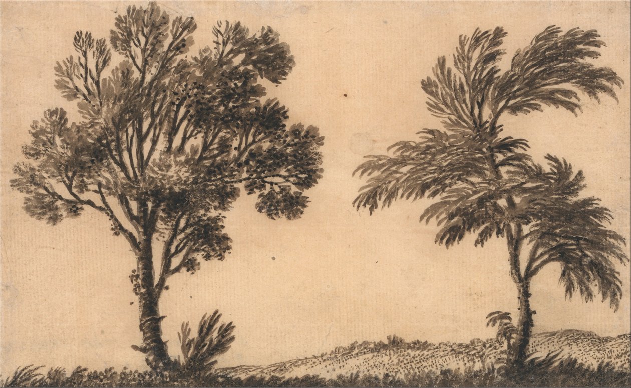 Studie van twee wilgen door Alexander Cozens