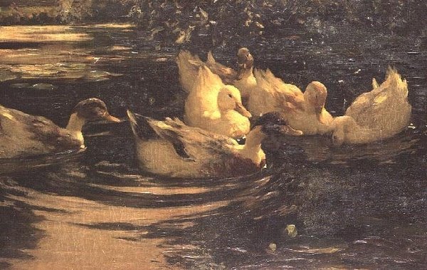 Eenden op een vijver door Alexander Koester