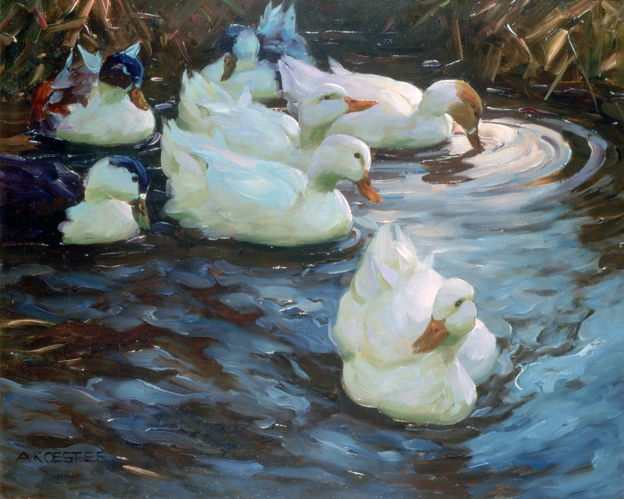 Eenden op een vijver, c1884-1932 door Alexander Koester