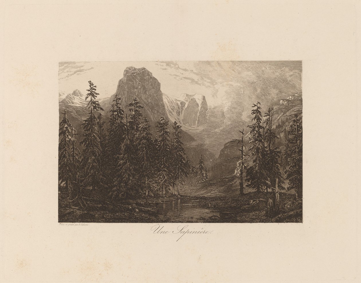 Een Sparrenbos door Alexandre Calame