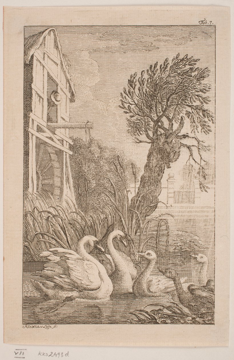 De Gans en de Zwaan door Alexia von Lode