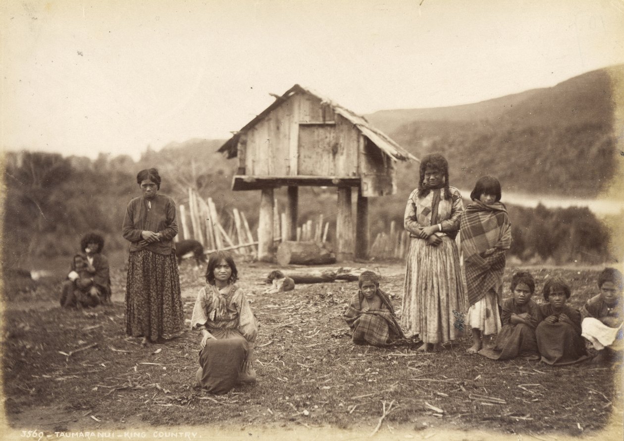 Taumaranui - King Country, 29 mei 1885 door Alfred Burton