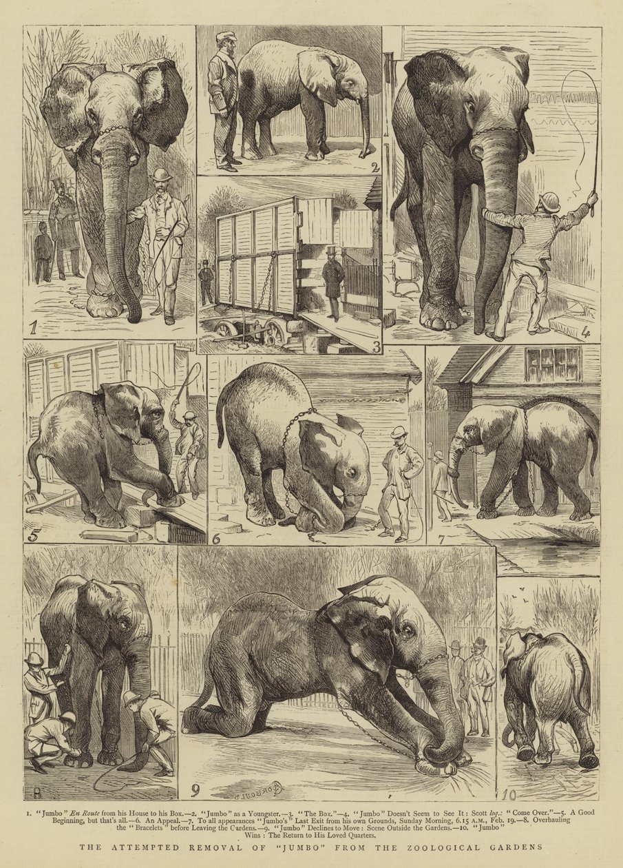 De poging tot verwijdering van Jumbo uit de dierentuin door Alfred Chantrey Corbould