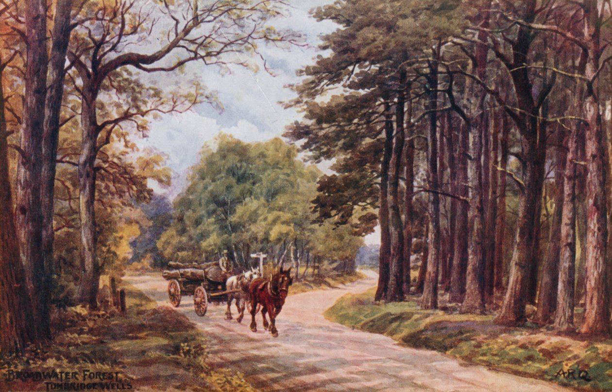 Broadwater Forest, Tunbridge Wells door Alfred Robert Quinton