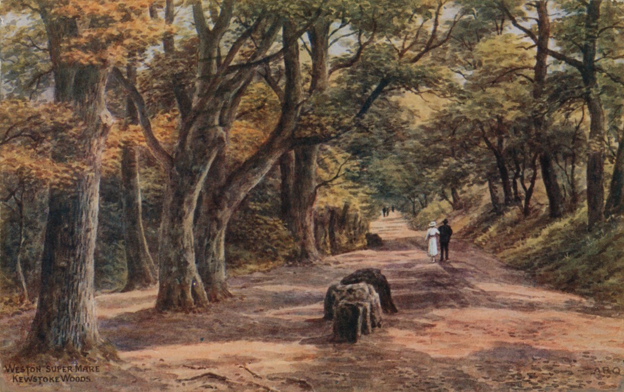 Weston-Super-Mare, Kewstoke Woods door Alfred Robert Quinton