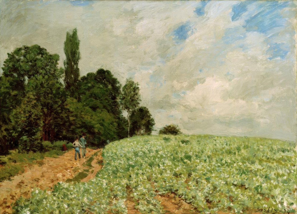 Het klaverveld door Alfred Sisley