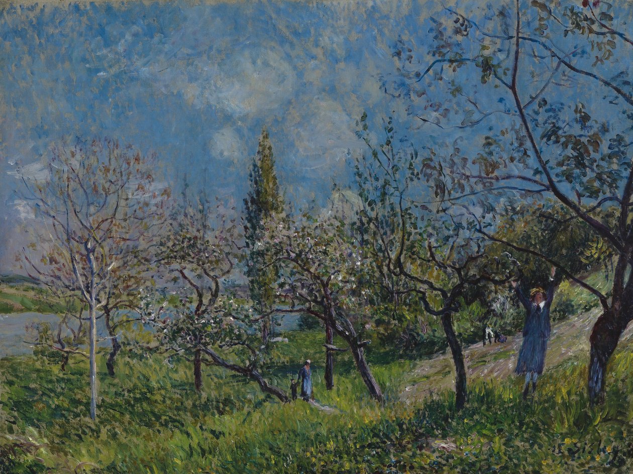 Boomgaard in de lente door Alfred Sisley