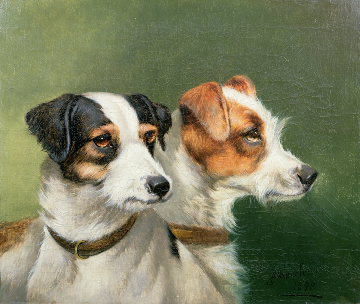 Twee Fox Terriërs, 1898 door John Alfred Wheeler