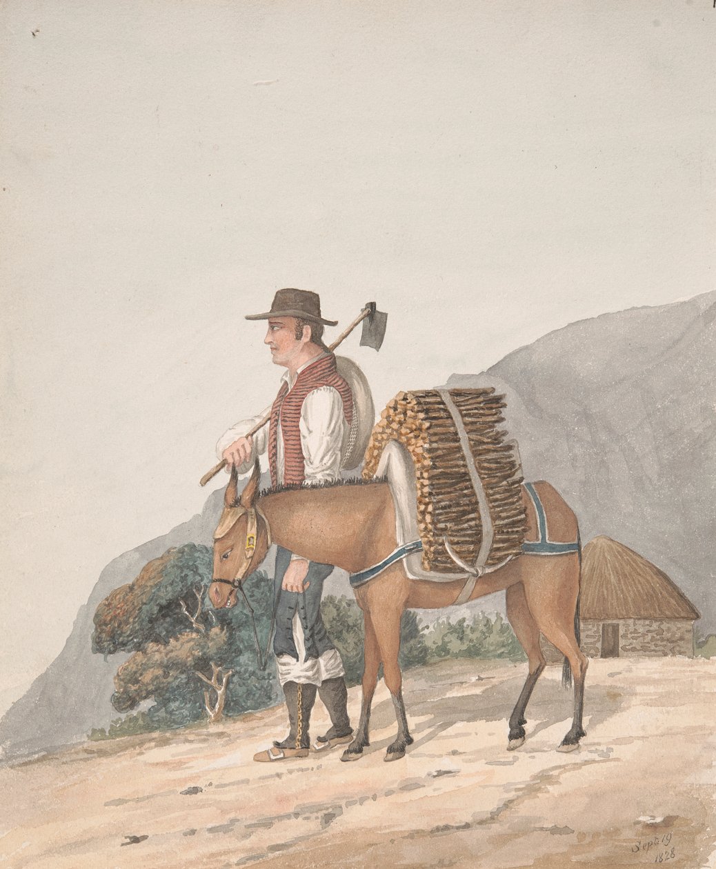 Brandhoutverkoper, Tenerife door Alfred Diston
