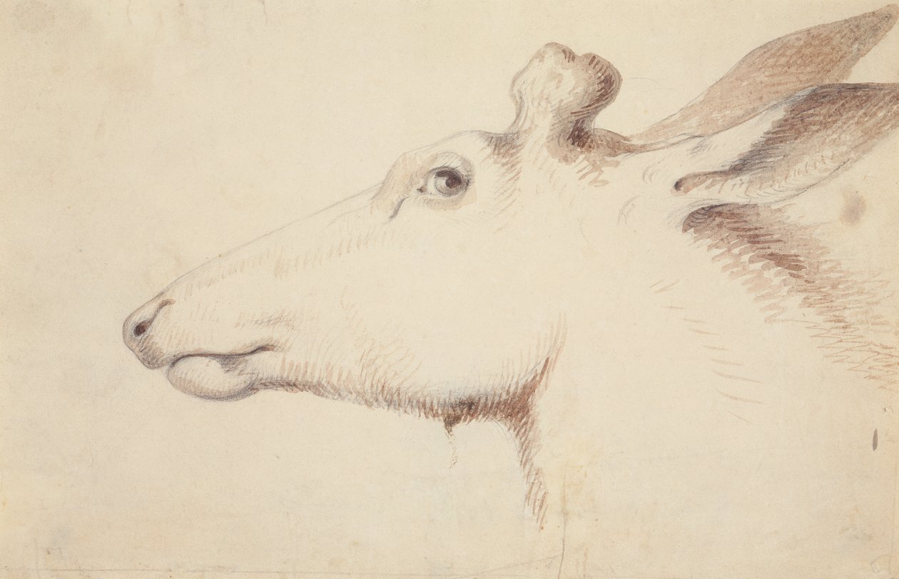 Elk, ca. 1837 door Alfred Jacob Miller