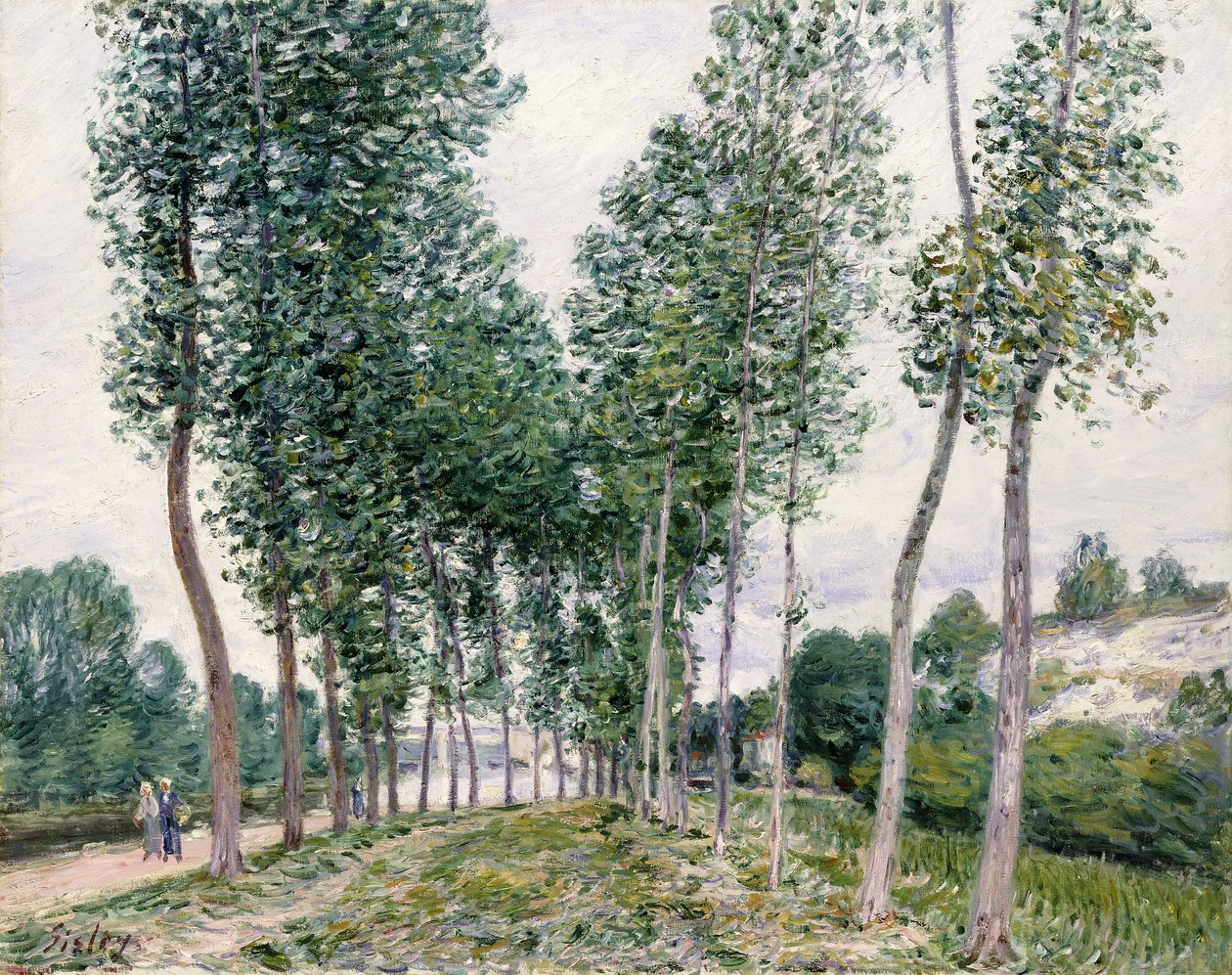 Populierenlaan langs de Loing door Alfred Sisley