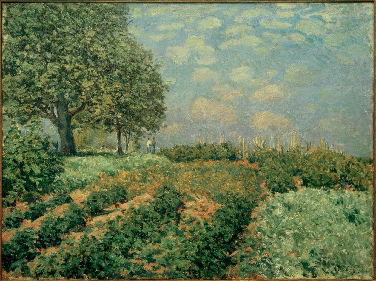 De velden door Alfred Sisley