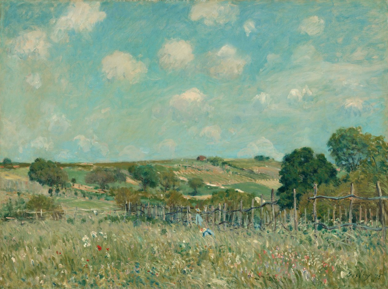 Weide, 1875 door Alfred Sisley